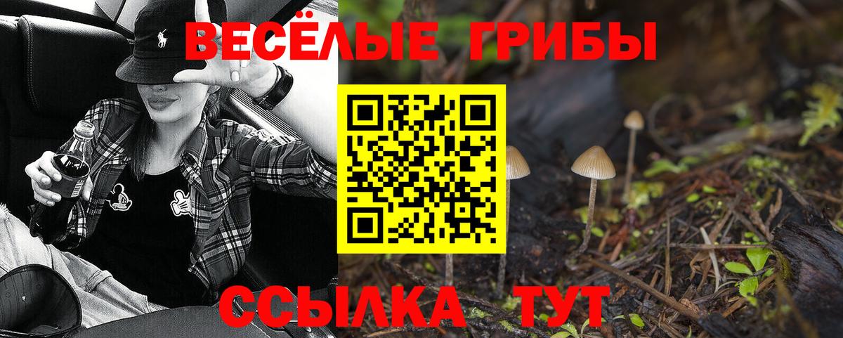 Псилоцибиновые грибы ЛСД  Галлюциногенные грибы Psilocybine cubensis  Черкесск  Вход с VPN 